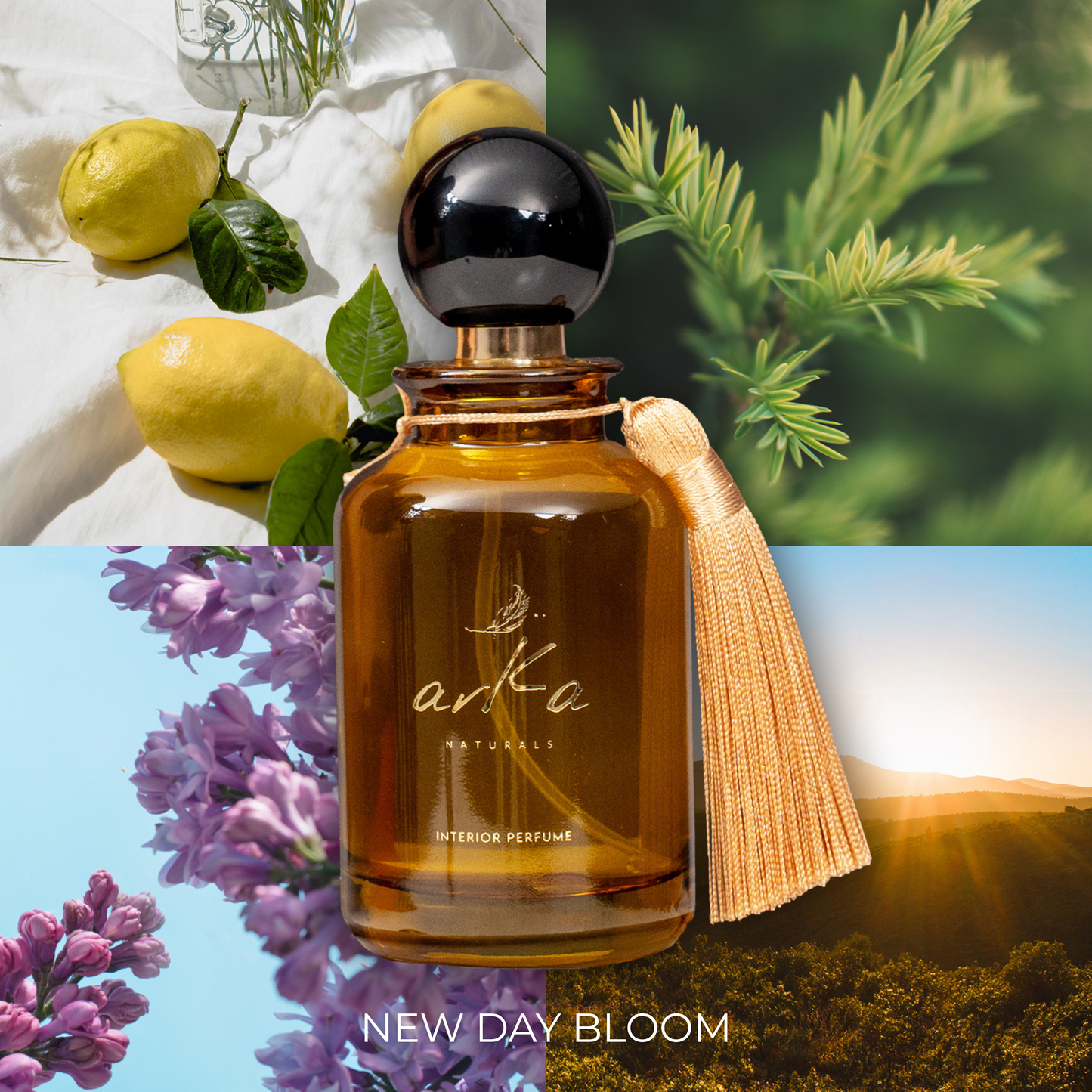 Interior Perfume Spray
