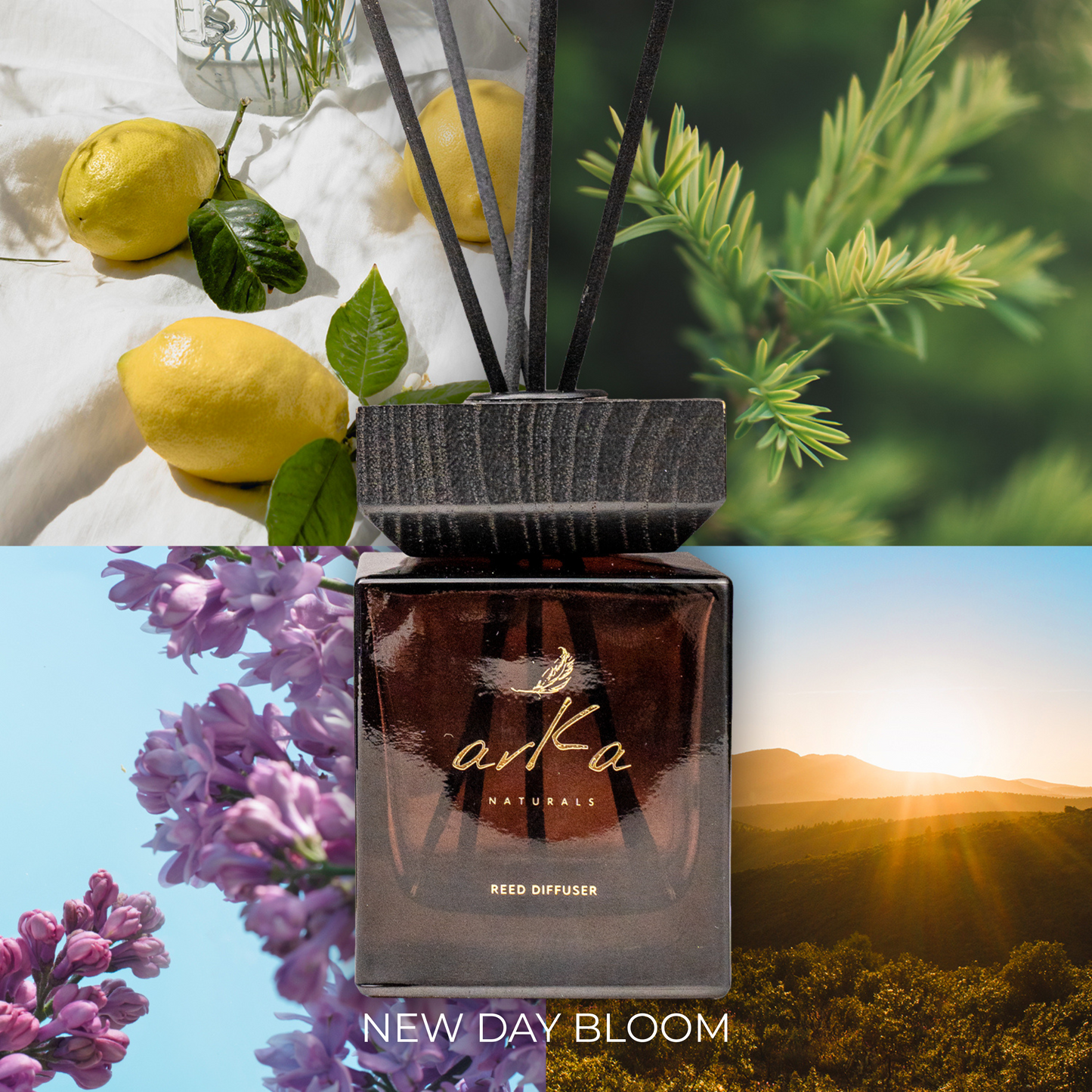 Premium Reed Diffuser