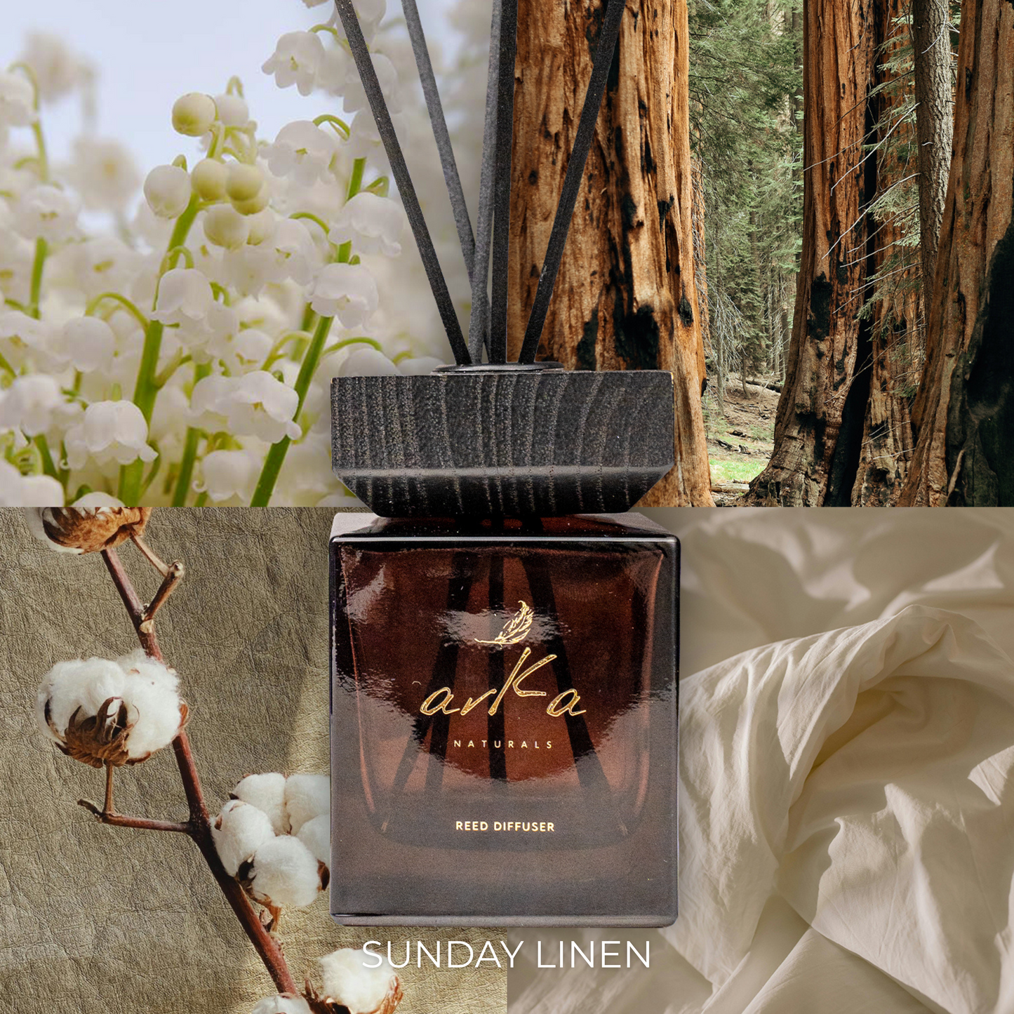 Premium Reed Diffuser