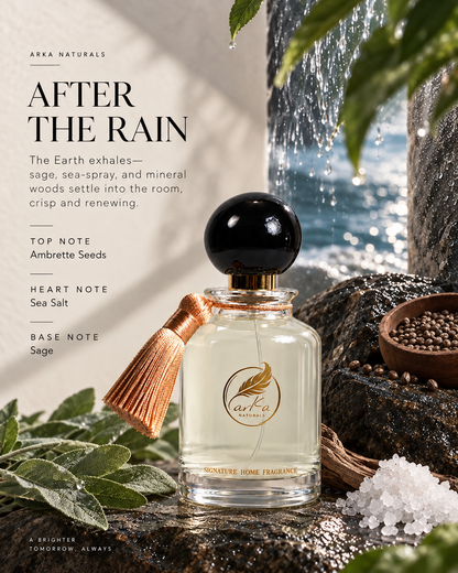 Timeless Moments Collection | Signature Home Fragrance Mist • 𝗣𝗥𝗘-𝗢𝗥𝗗𝗘𝗥 (𝗗𝗜𝗦𝗣𝗔𝗧𝗖𝗛 𝗕𝗘𝗚𝗜𝗡𝗦 𝟯𝗥𝗗 𝗪𝗘𝗘𝗞 𝗢𝗙 𝗡𝗢𝗩.)